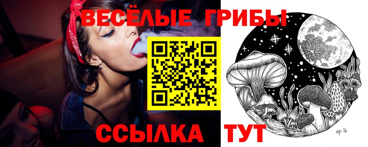 Магнитогорск  Галлюциногенные грибы Cubensis  Псилоцибиновые грибы ЛСД  Вход с VPN 